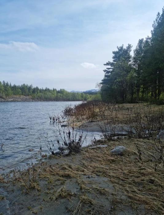 Torfoss Gard, Hytte Utleie, Campingvogn Og Bobil Plasser Potka Esterno foto