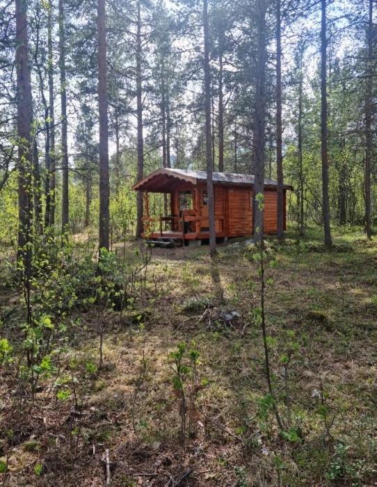 Torfoss Gard, Hytte Utleie, Campingvogn Og Bobil Plasser Potka Esterno foto
