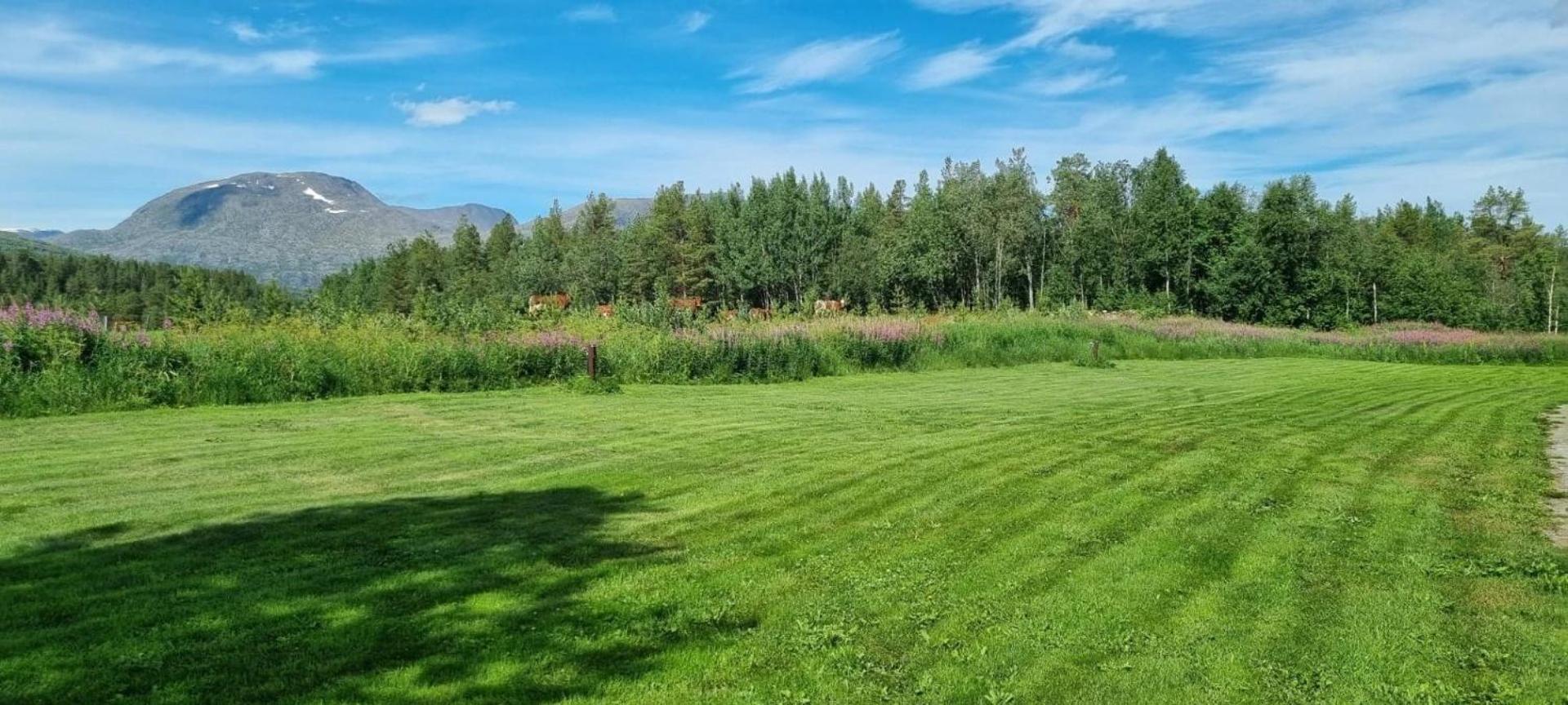 Torfoss Gard, Hytte Utleie, Campingvogn Og Bobil Plasser Potka Esterno foto