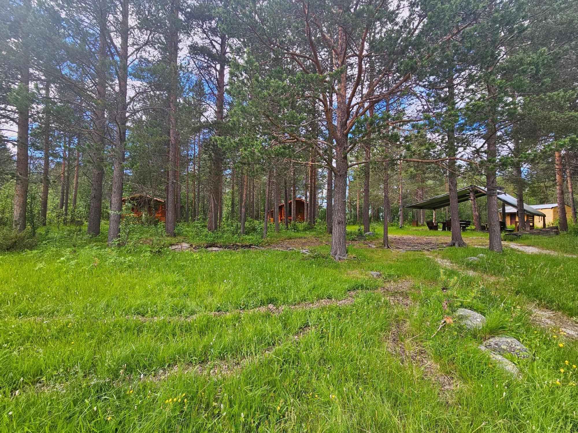 Torfoss Gard, Hytte Utleie, Campingvogn Og Bobil Plasser Potka Esterno foto